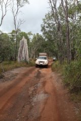 Australia (Cape York)